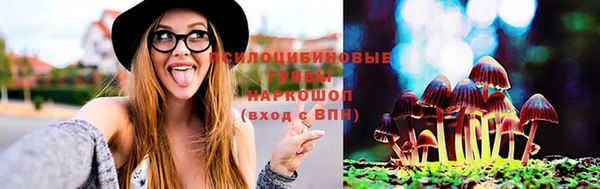 соль курить ск Каменногорск