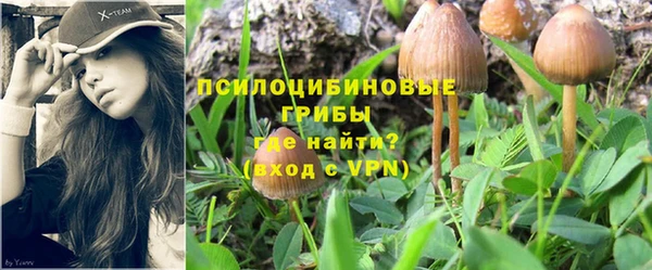 соль курить ск Каменногорск