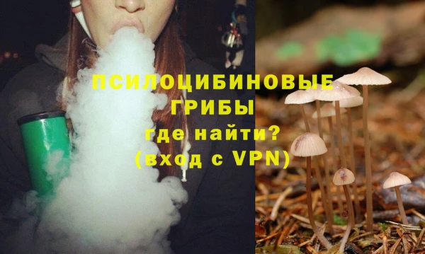 соль курить ск Каменногорск