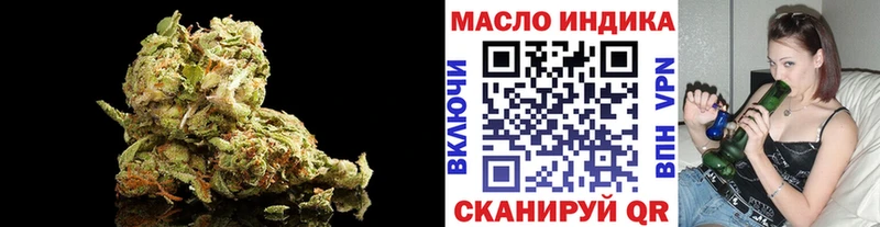 Купить где  Городец  ТГК концентрат 
