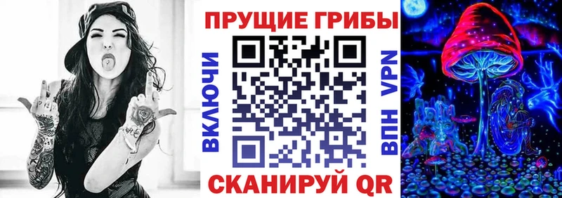 Галлюциногенные грибы Cubensis  Купить где  Городец 